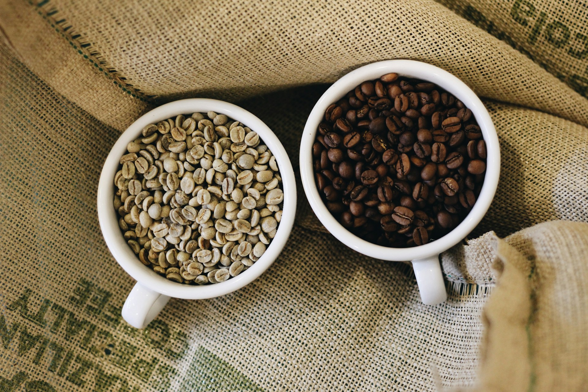 Photo by Hümâ H. Yardım on Unsplash
      